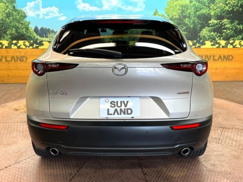 CX-30