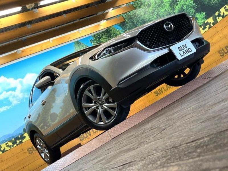 CX-30