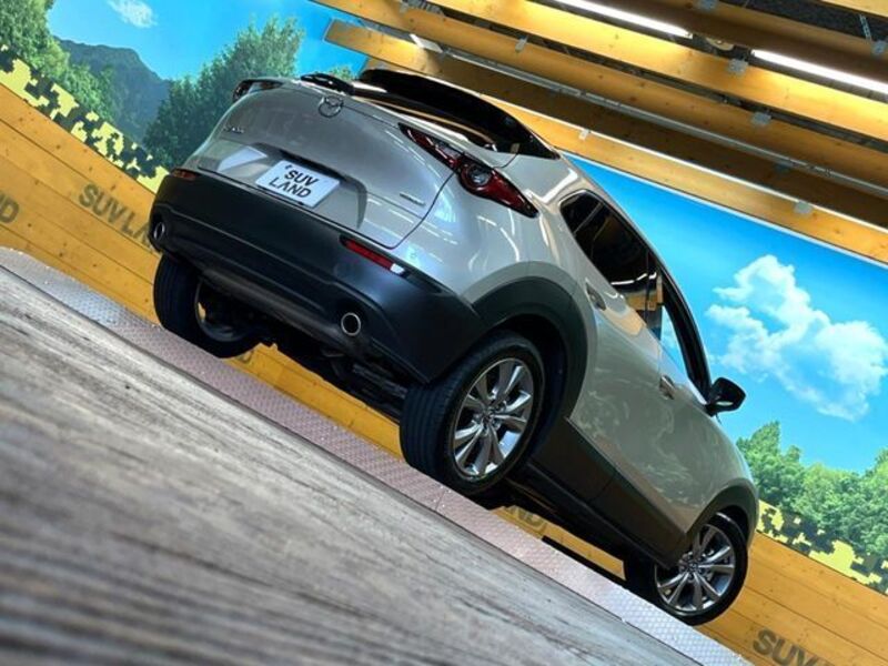 CX-30