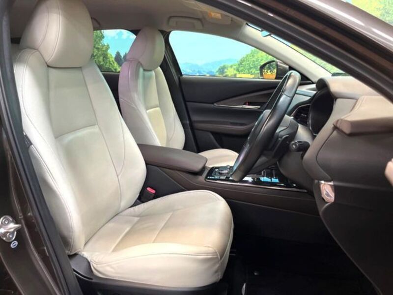 CX-30