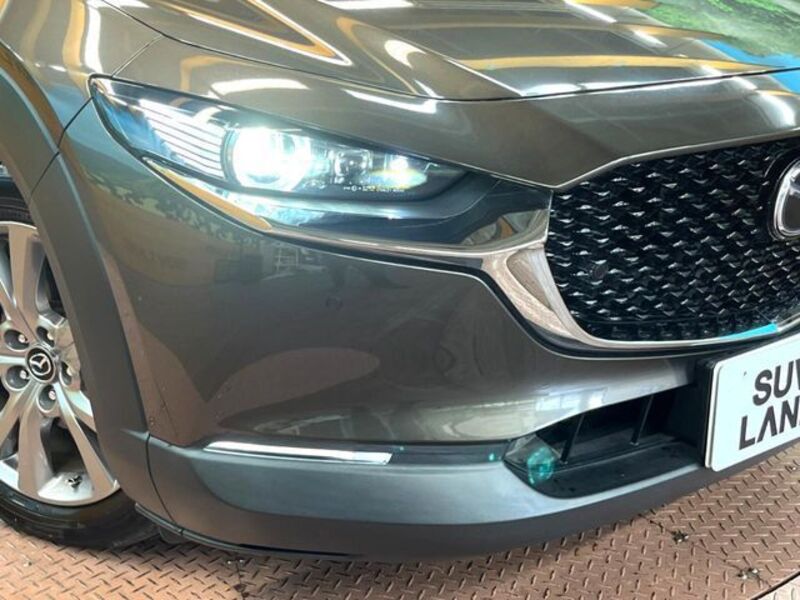 CX-30