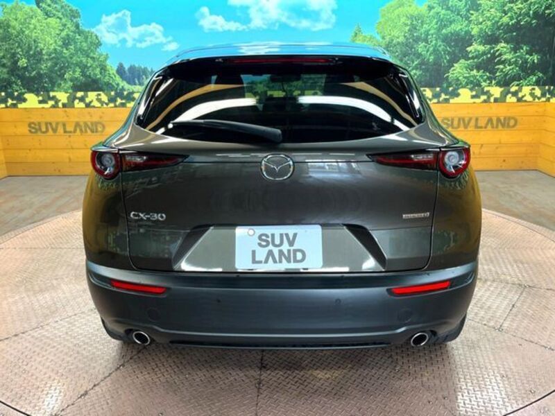 CX-30
