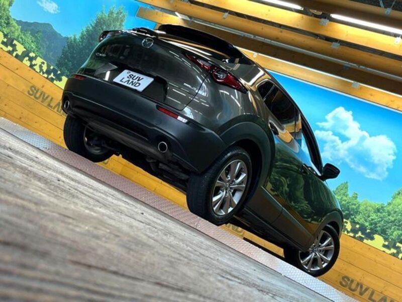 CX-30