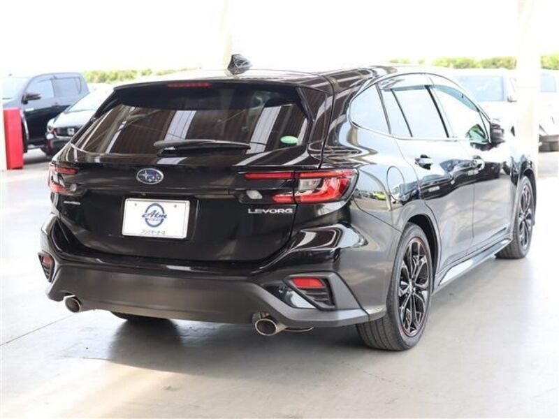 LEVORG