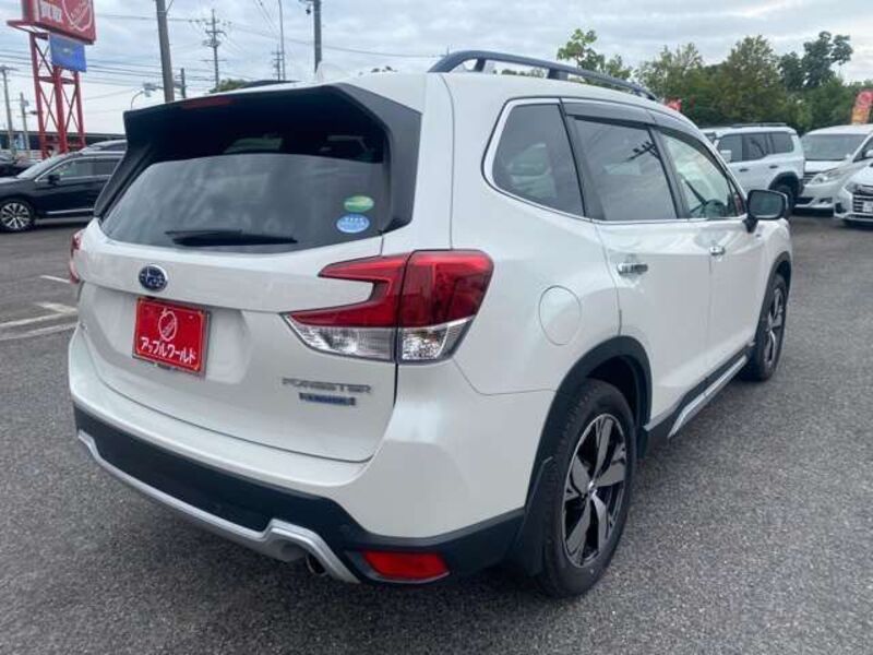 FORESTER