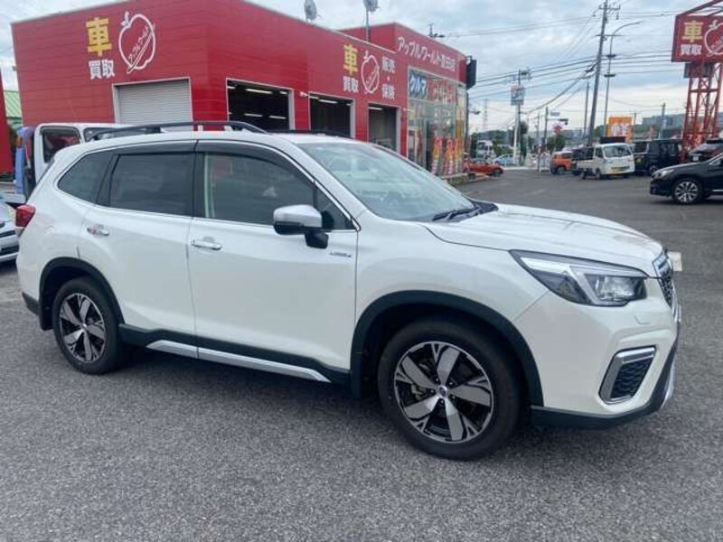 FORESTER