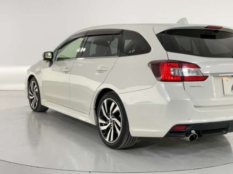 LEVORG