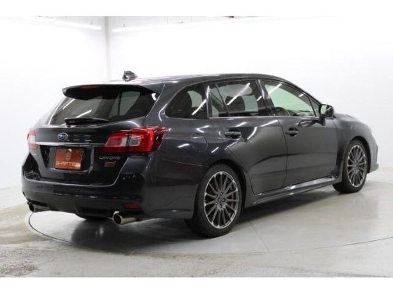 LEVORG