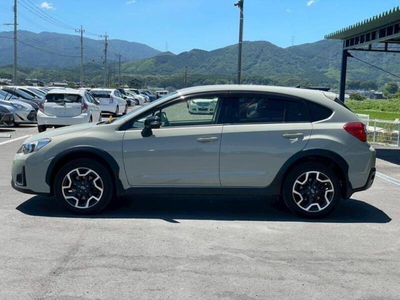 XV