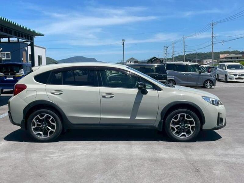 XV