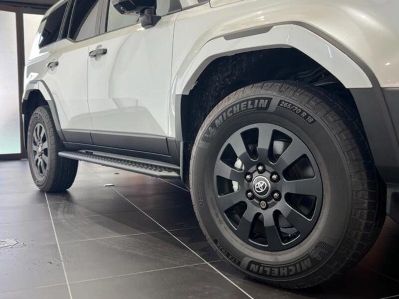 LAND CRUISER 250