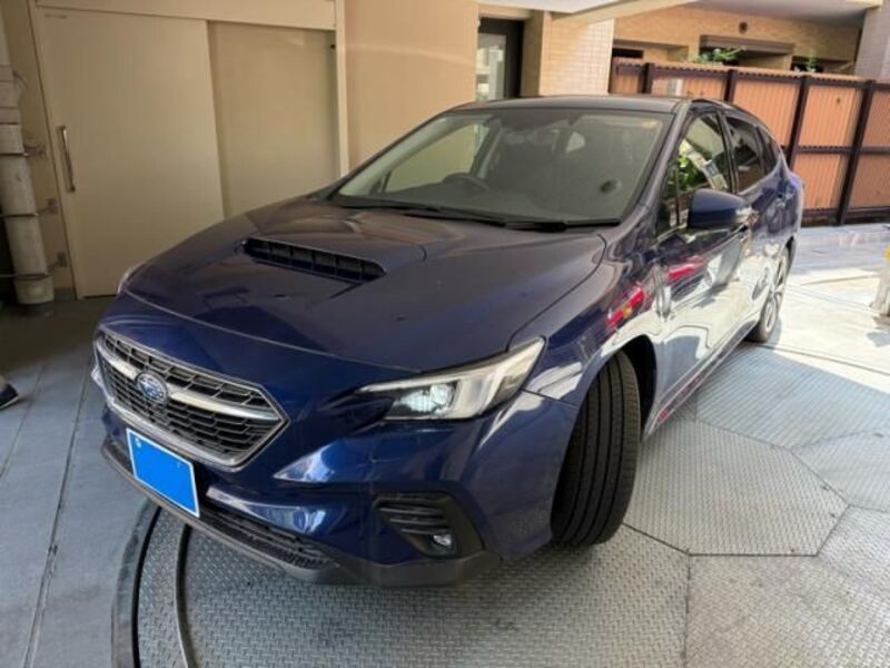 LEVORG-0