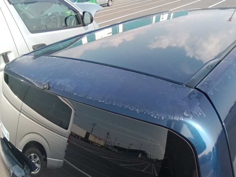 SUCCEED VAN