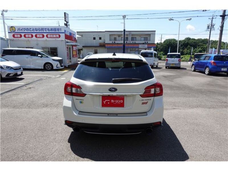 LEVORG