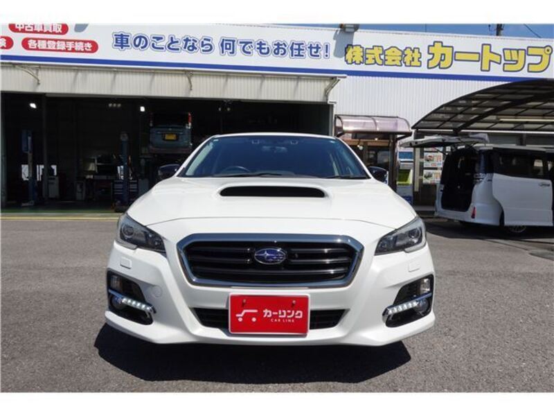 LEVORG