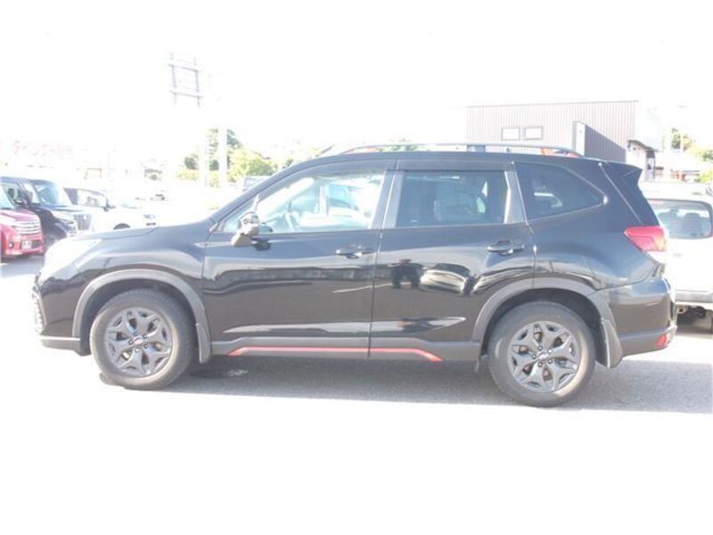 FORESTER