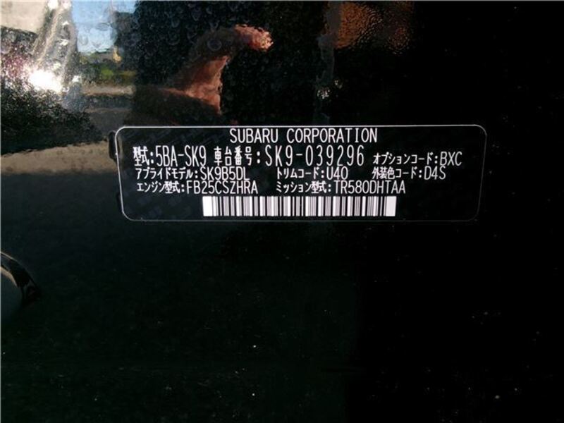 FORESTER