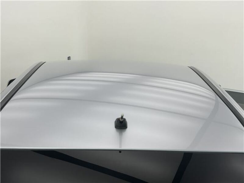 GALANT FORTIS