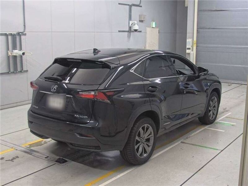 NX