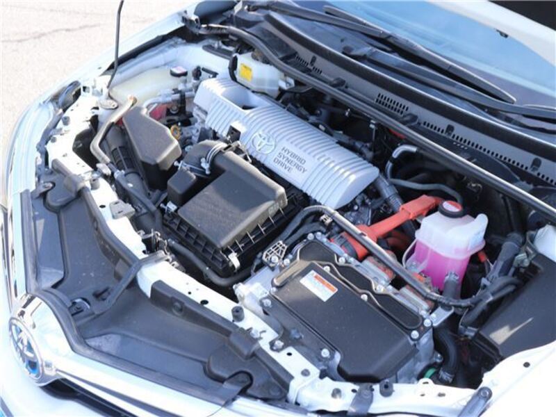 AURIS