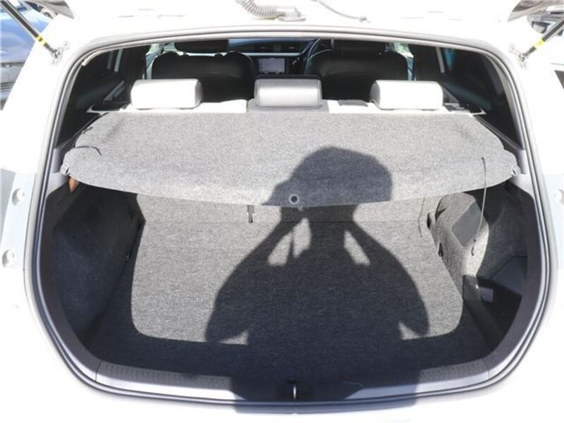 AURIS