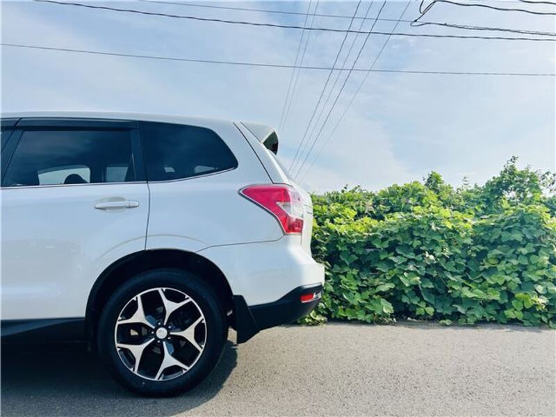 FORESTER