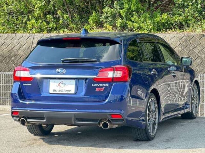LEVORG