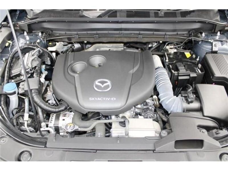 CX-8