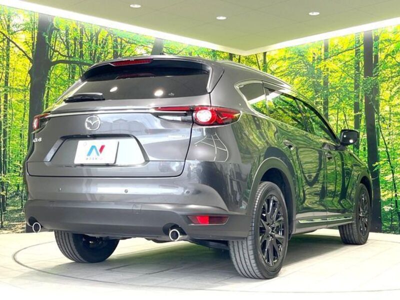 CX-8