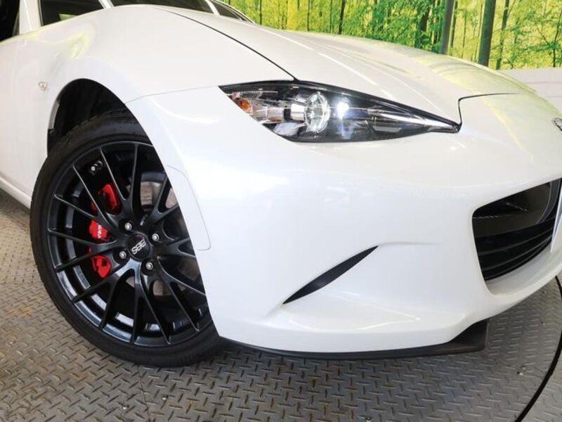 ROADSTER RF