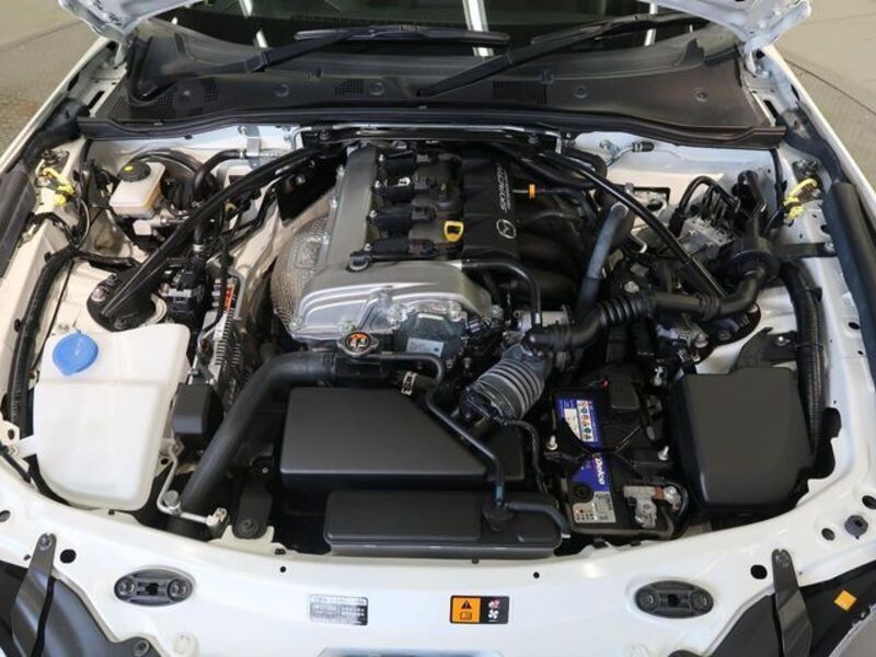 ROADSTER RF