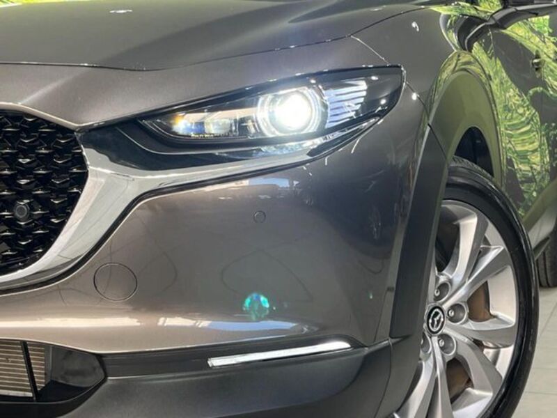 CX-30