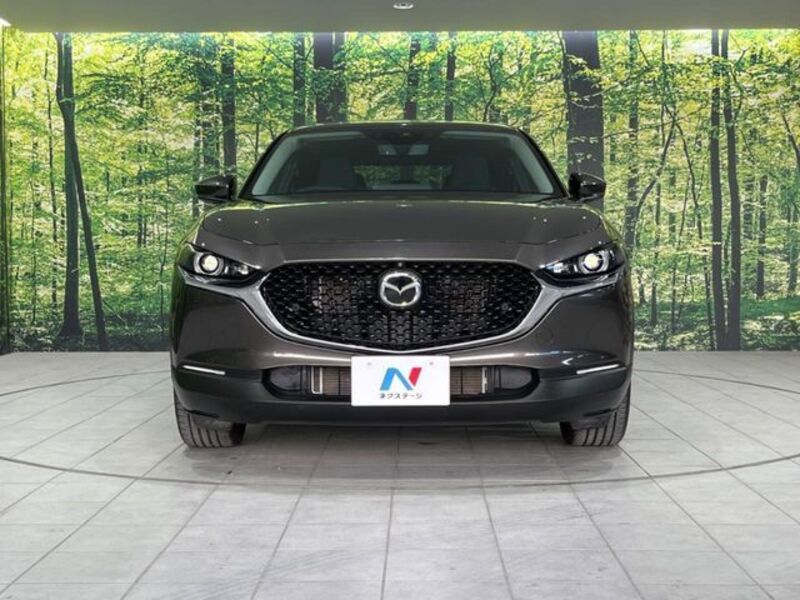 CX-30