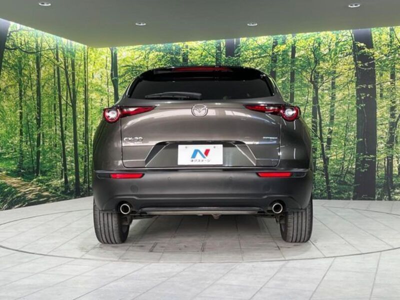 CX-30