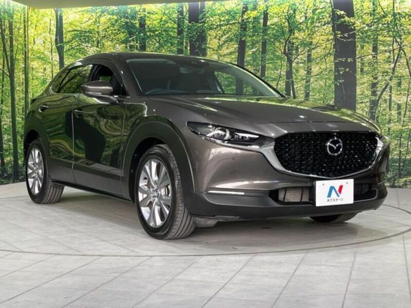 CX-30