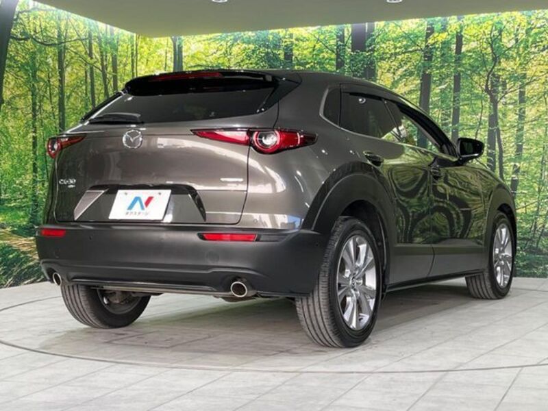 CX-30