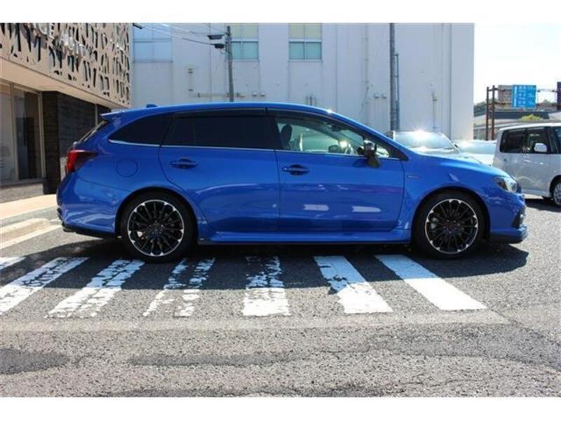 LEVORG