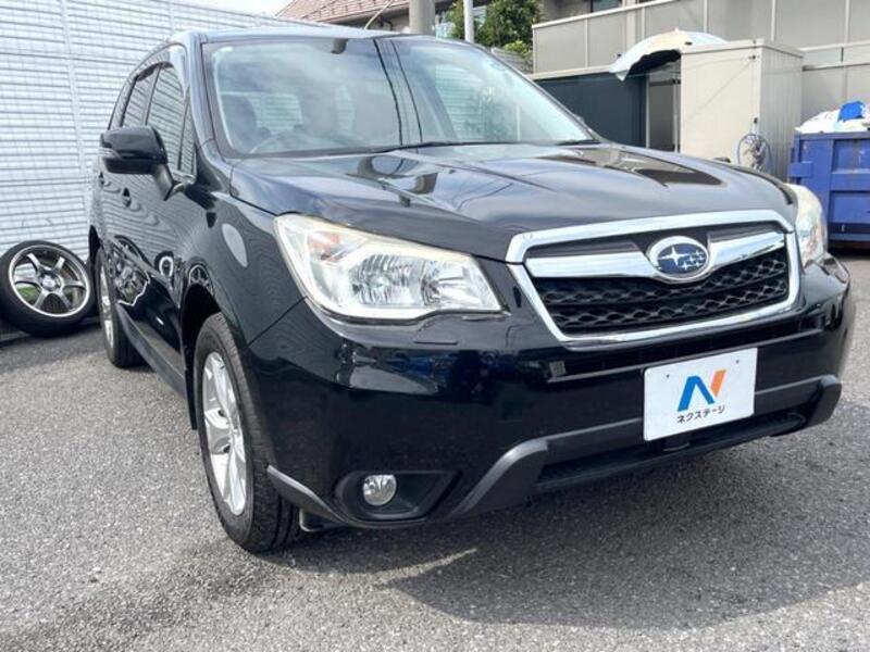 FORESTER