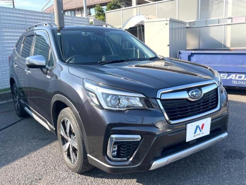 FORESTER
