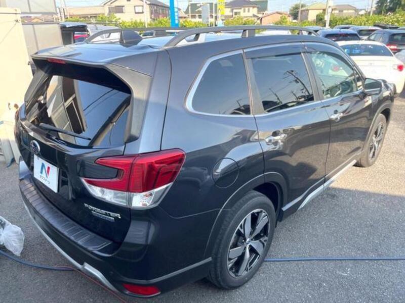 FORESTER
