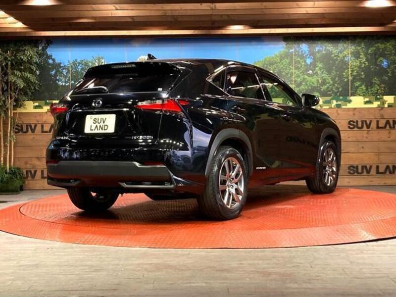 NX