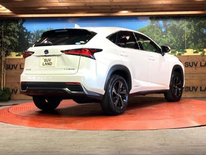 NX