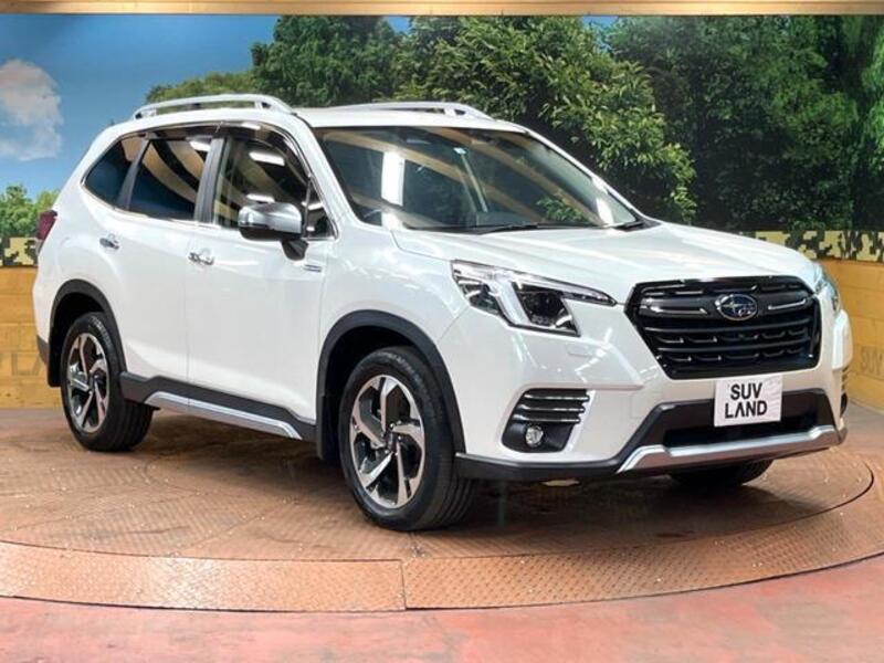 FORESTER