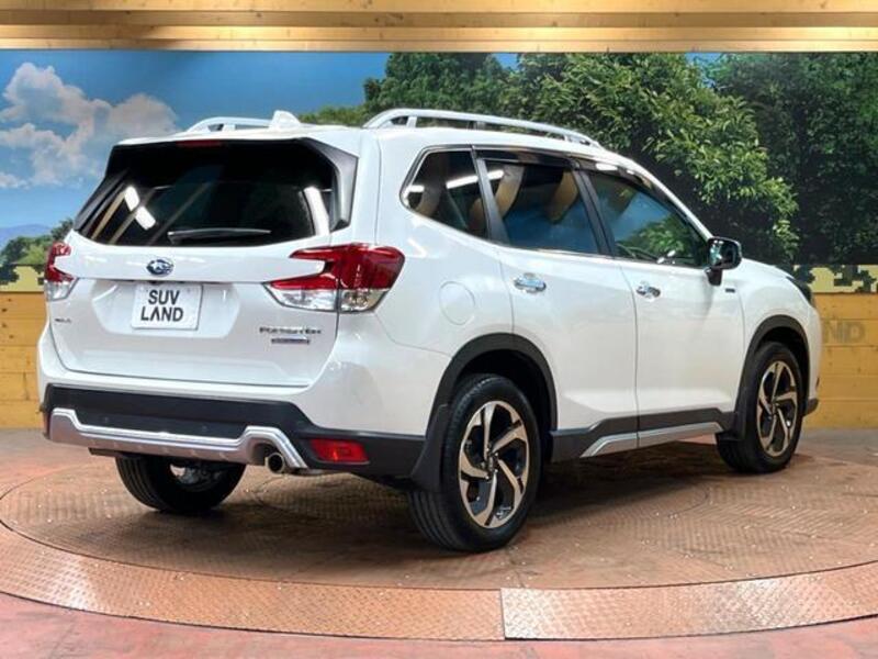FORESTER