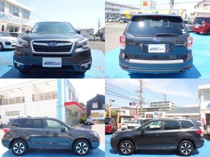 FORESTER