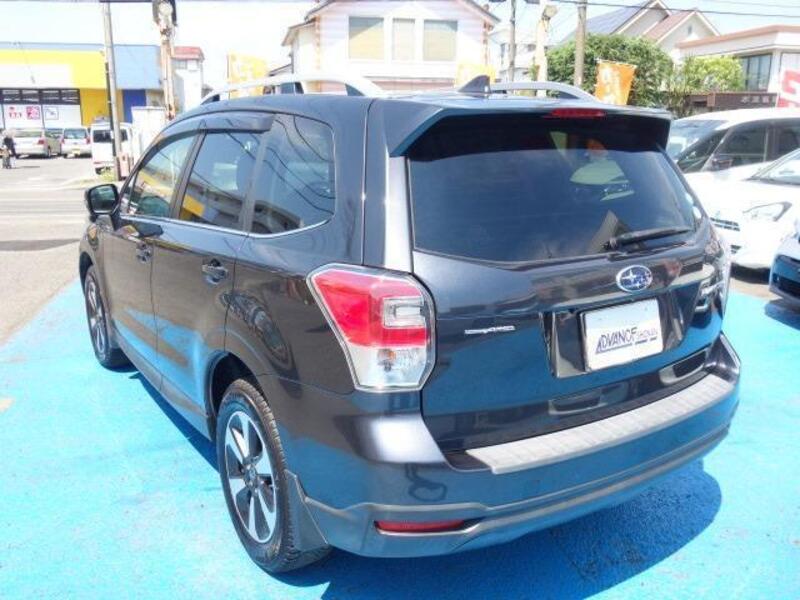 FORESTER