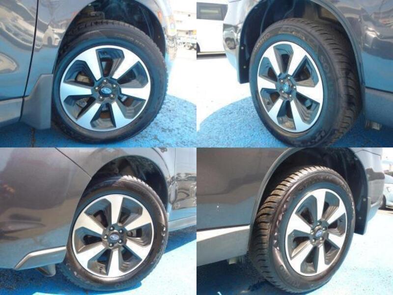 FORESTER