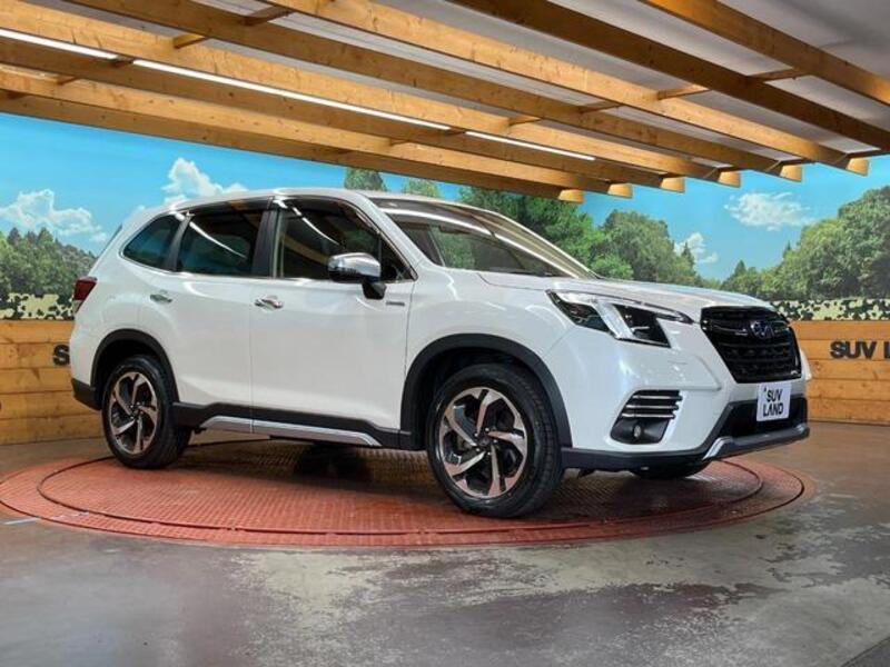 FORESTER