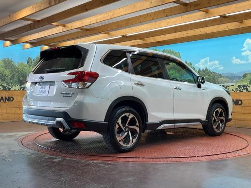 FORESTER