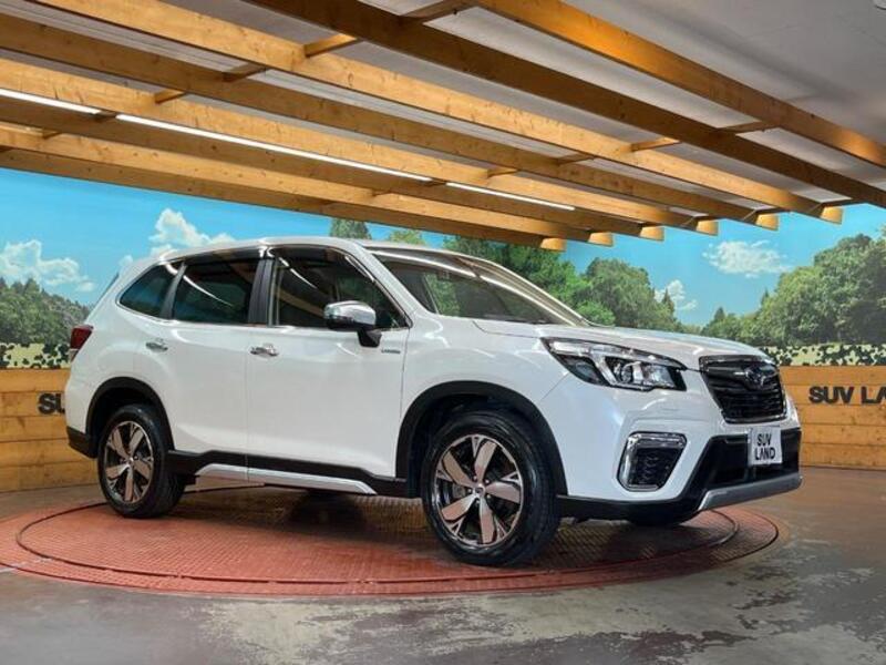 FORESTER